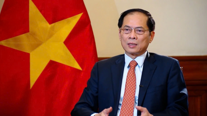 Foreign affairs gains in 2024 support Vietnam in new era of national advancement